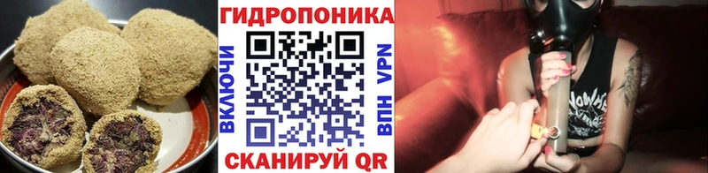 Canna-Cookies конопля Октябрьск