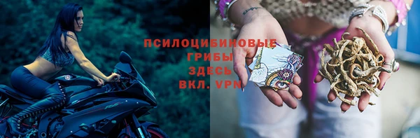 трава Арсеньев