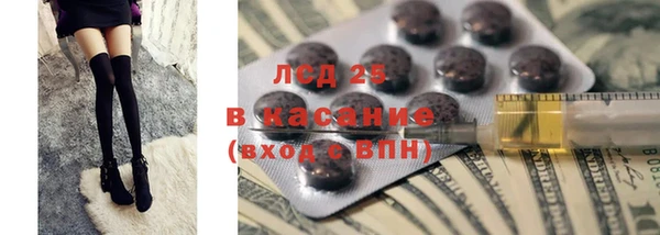 мяу мяу мука Аркадак