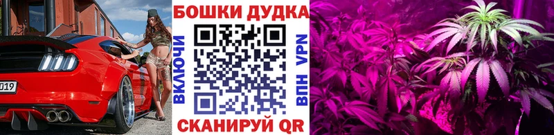 Шишки марихуана Amnesia Октябрьск